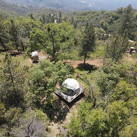 Enchanted Forest Dome ,10-15 Minutes To Kings Canyons-New Pellet Stove For Cozy Warm Nights Dunlap ภายนอก รูปภาพ