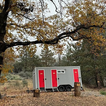 Enchanted Forest Dome ,10-15 Minutes To Kings Canyons-New Pellet Stove For Cozy Warm Nights Dunlap ภายนอก รูปภาพ