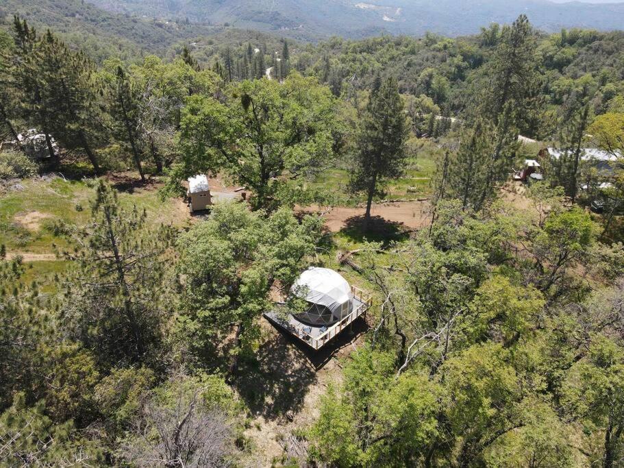 Enchanted Forest Dome ,10-15 Minutes To Kings Canyons-New Pellet Stove For Cozy Warm Nights Dunlap ภายนอก รูปภาพ